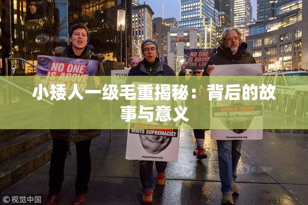 小矮人一级毛重揭秘：背后的故事与意义