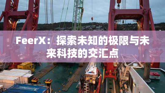 FeerX：探索未知的极限与未来科技的交汇点