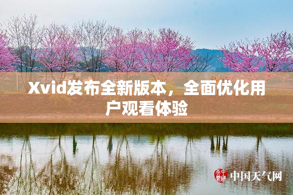 Xvid发布全新版本，全面优化用户观看体验
