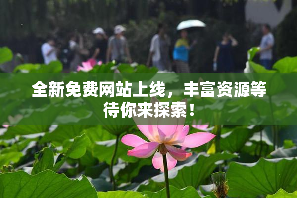 全新免费网站上线，丰富资源等待你来探索！