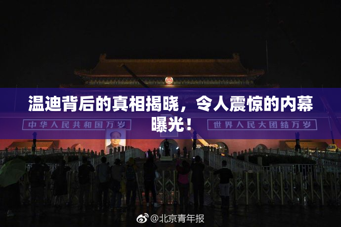 温迪背后的真相揭晓，令人震惊的内幕曝光！