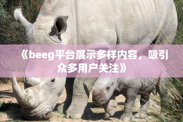 《beeg平台展示多样内容，吸引众多用户关注》