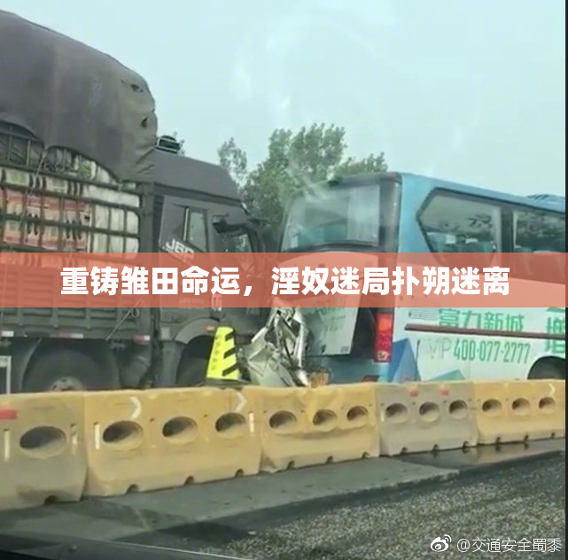 重铸雏田命运，淫奴迷局扑朔迷离