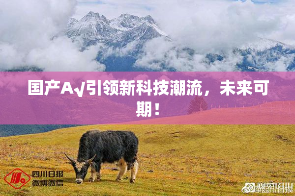 国产A√引领新科技潮流，未来可期！