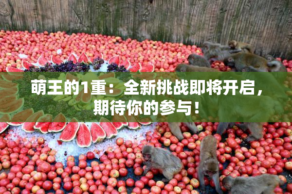 萌王的1重：全新挑战即将开启，期待你的参与！