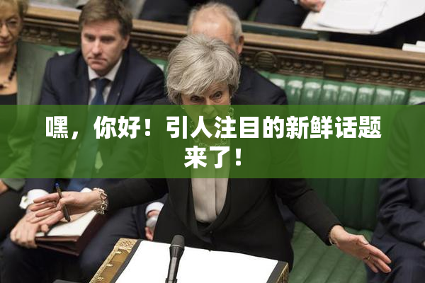 嘿，你好！引人注目的新鲜话题来了！