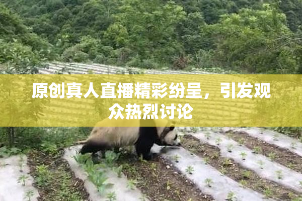 原创真人直播精彩纷呈，引发观众热烈讨论