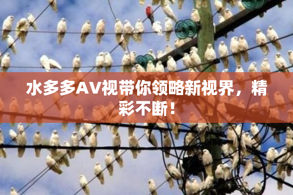 水多多AV视带你领略新视界，精彩不断！
