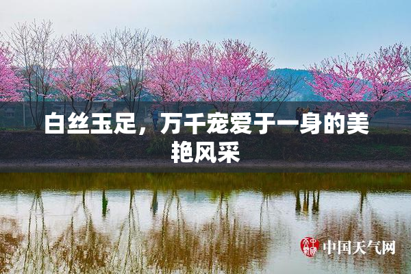 白丝玉足，万千宠爱于一身的美艳风采