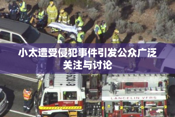 小太遭受侵犯事件引发公众广泛关注与讨论