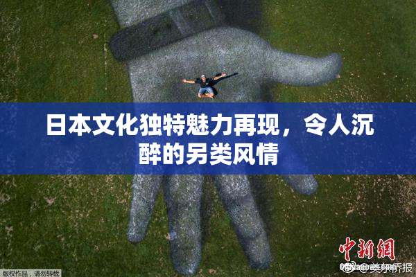 日本文化独特魅力再现，令人沉醉的另类风情