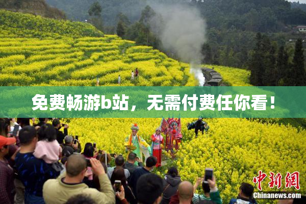 免费畅游b站，无需付费任你看！