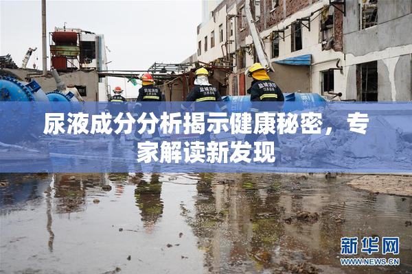 尿液成分分析揭示健康秘密，专家解读新发现