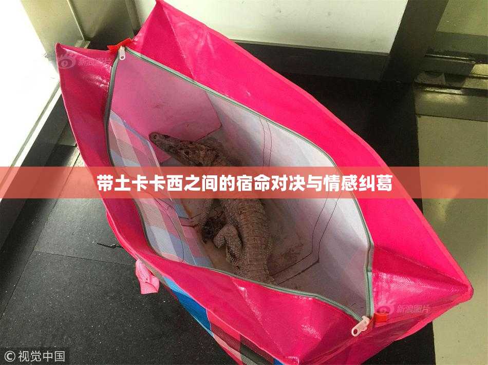 带土卡卡西之间的宿命对决与情感纠葛