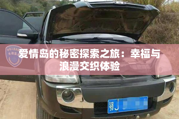 爱情岛的秘密探索之旅：幸福与浪漫交织体验