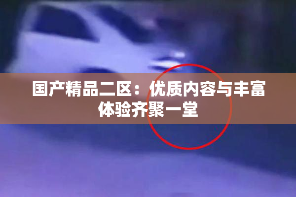 国产精品二区：优质内容与丰富体验齐聚一堂
