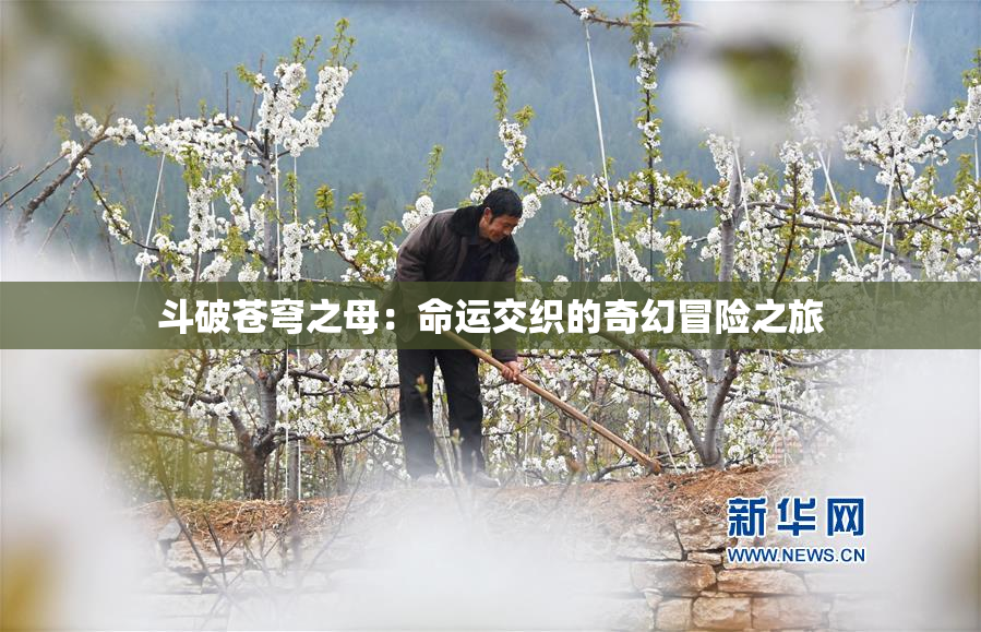 斗破苍穹之母：命运交织的奇幻冒险之旅