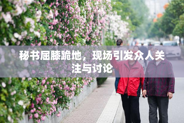 秘书屈膝跪地，现场引发众人关注与讨论
