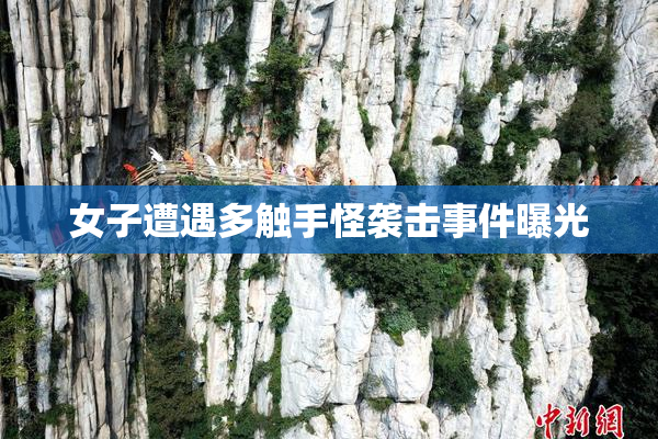 女子遭遇多触手怪袭击事件曝光