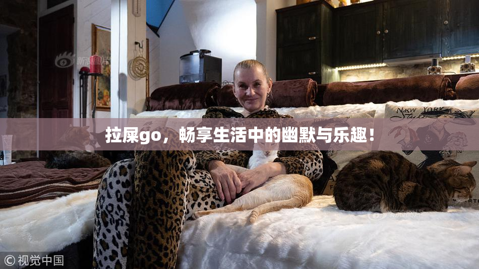 拉屎go，畅享生活中的幽默与乐趣！