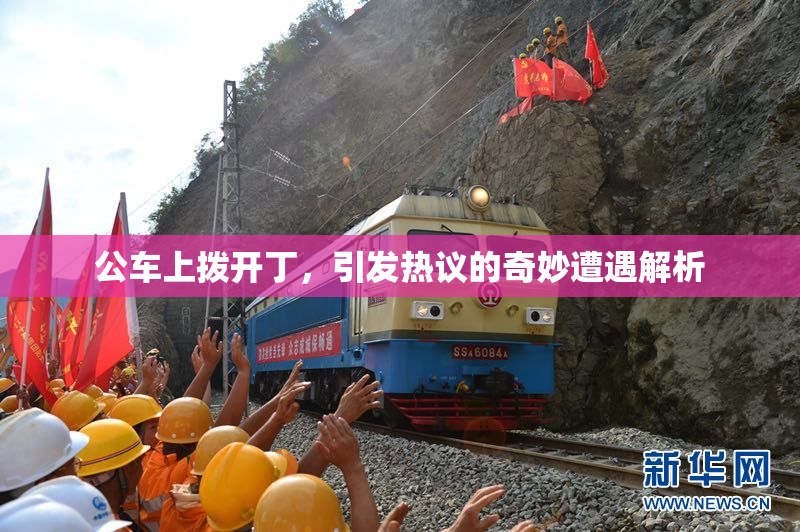 公车上拨开丁，引发热议的奇妙遭遇解析