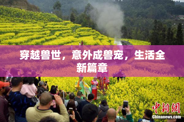 穿越兽世，意外成兽宠，生活全新篇章