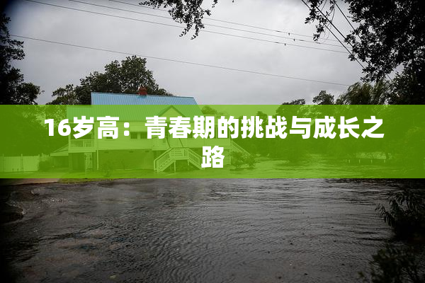 16岁高：青春期的挑战与成长之路