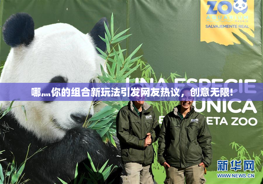 哪灬你的组合新玩法引发网友热议，创意无限!