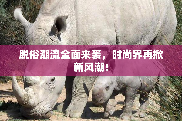 脱俗潮流全面来袭，时尚界再掀新风潮！