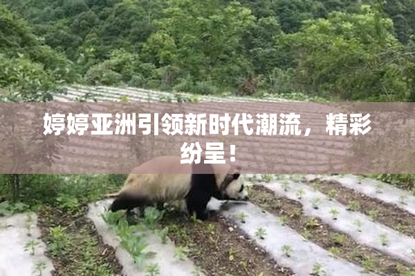 婷婷亚洲引领新时代潮流，精彩纷呈！