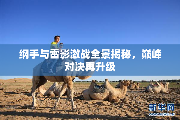 纲手与雷影激战全景揭秘，巅峰对决再升级