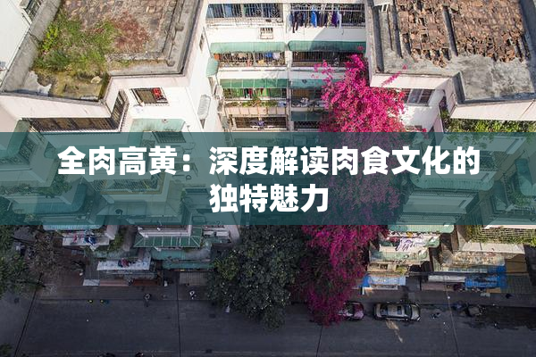 全肉高黄：深度解读肉食文化的独特魅力