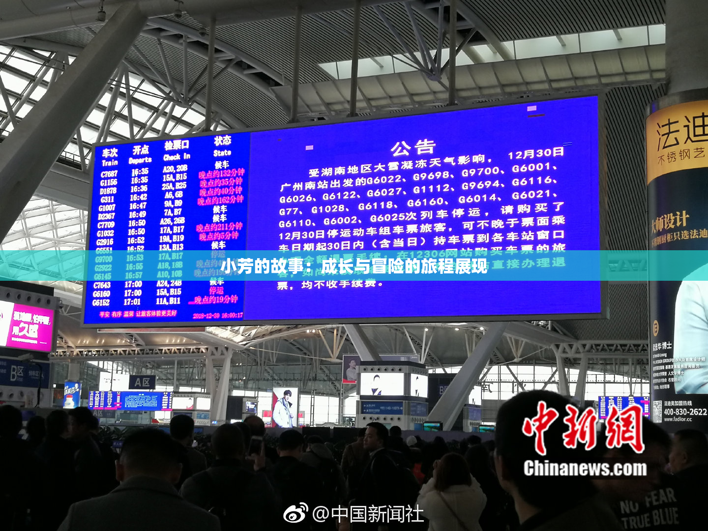 小芳的故事：成长与冒险的旅程展现