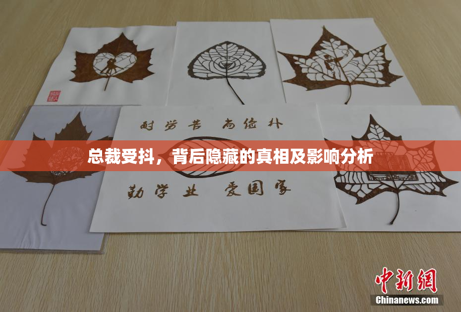 总裁受抖，背后隐藏的真相及影响分析