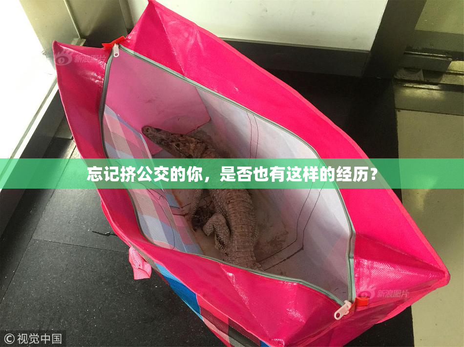 忘记挤公交的你，是否也有这样的经历？