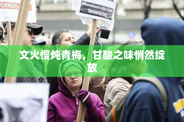 文火慢炖青梅，甘酸之味悄然绽放