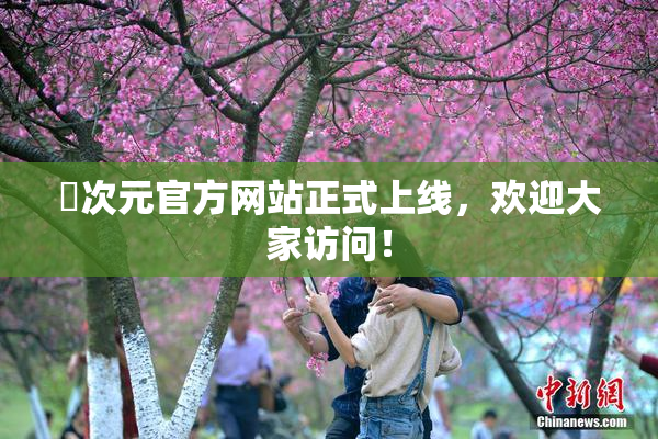 囧次元官方网站正式上线，欢迎大家访问！
