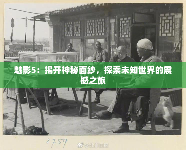 魅影5：揭开神秘面纱，探索未知世界的震撼之旅