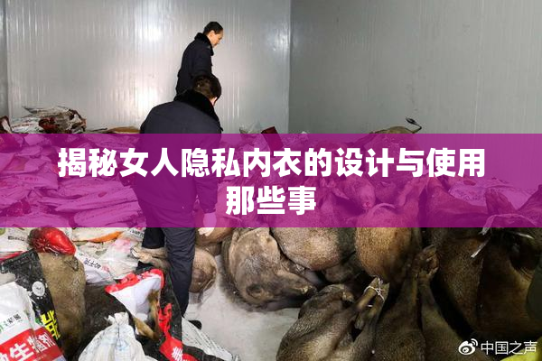 揭秘女人隐私内衣的设计与使用那些事