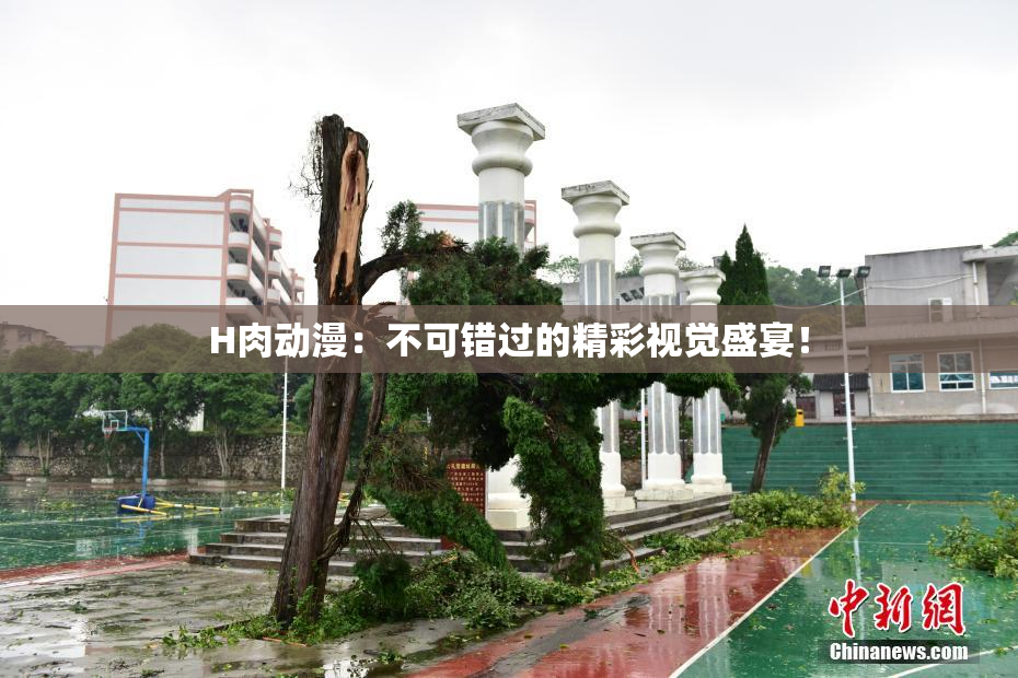 H肉动漫：不可错过的精彩视觉盛宴！
