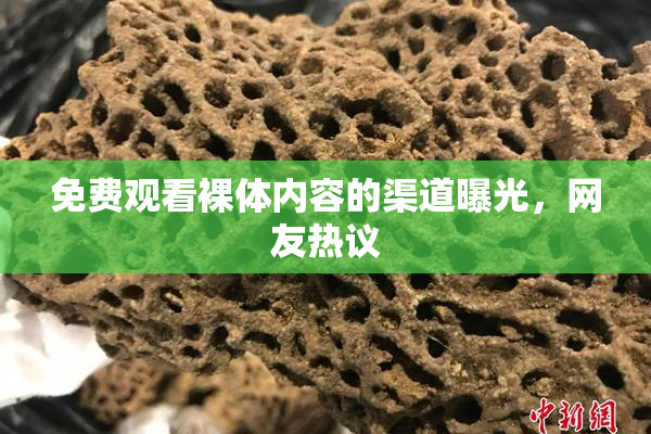 免费观看裸体内容的渠道曝光，网友热议