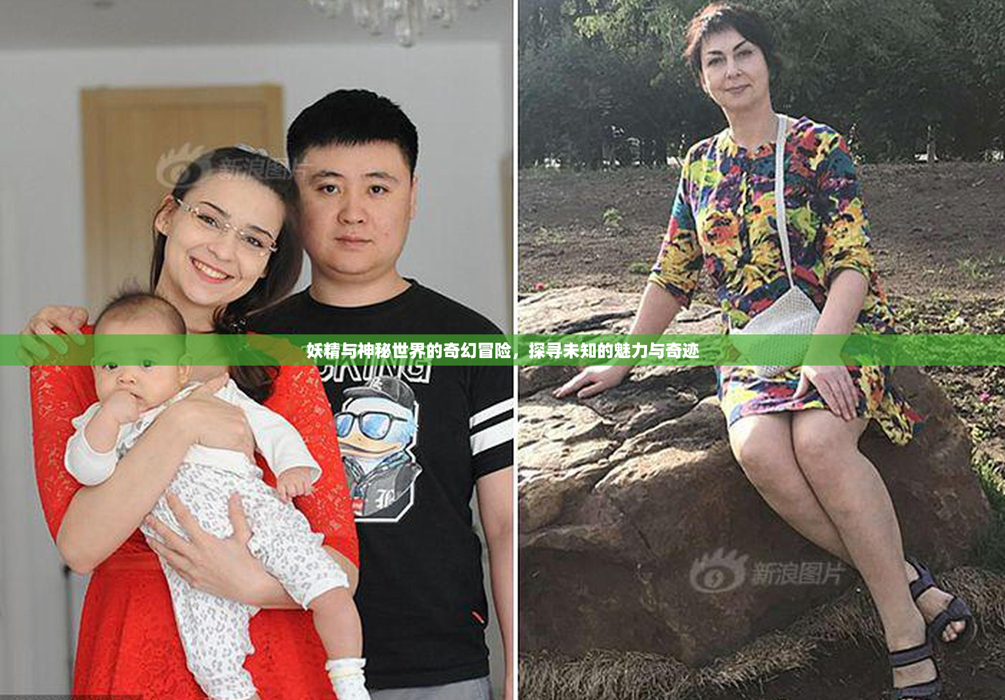 妖精与神秘世界的奇幻冒险，探寻未知的魅力与奇迹