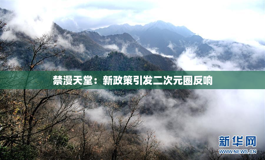 禁漫天堂：新政策引发二次元圈反响