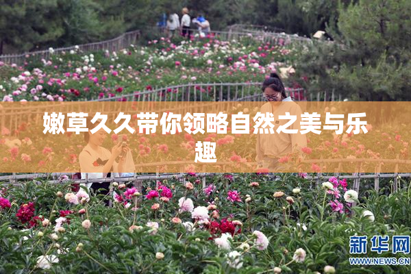 嫩草久久带你领略自然之美与乐趣