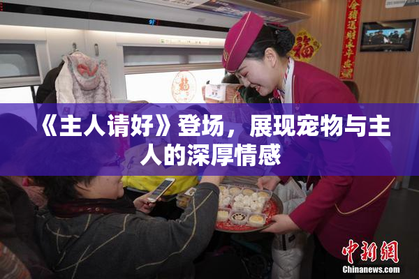 《主人请好》登场，展现宠物与主人的深厚情感