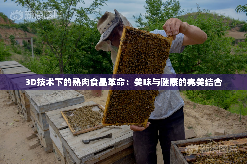 3D技术下的熟肉食品革命：美味与健康的完美结合