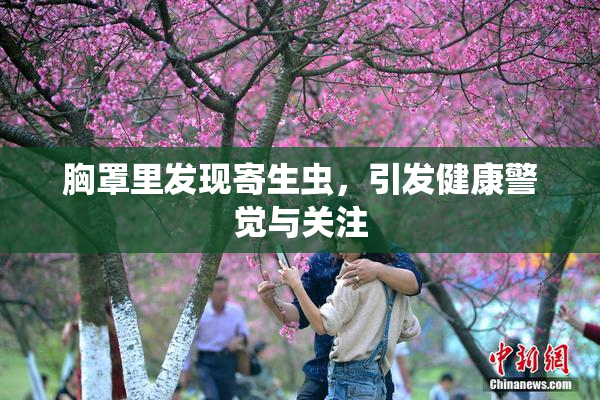 胸罩里发现寄生虫，引发健康警觉与关注