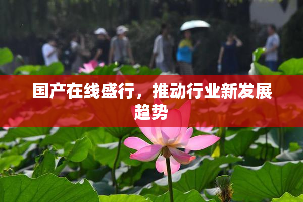 国产在线盛行，推动行业新发展趋势