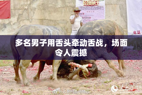 多名男子用舌头牵动舌战，场面令人震撼