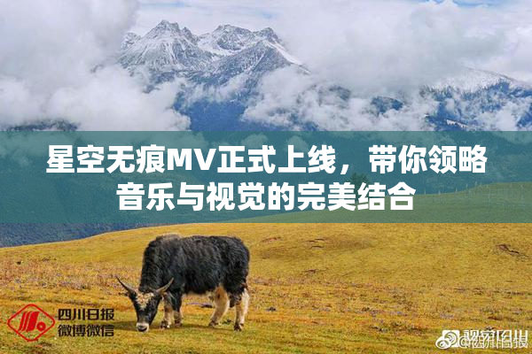 星空无痕MV正式上线，带你领略音乐与视觉的完美结合